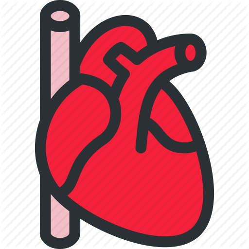 Pulse Clipart Cardiovascular - Pulse Clipart Cardiovascular (512x512)