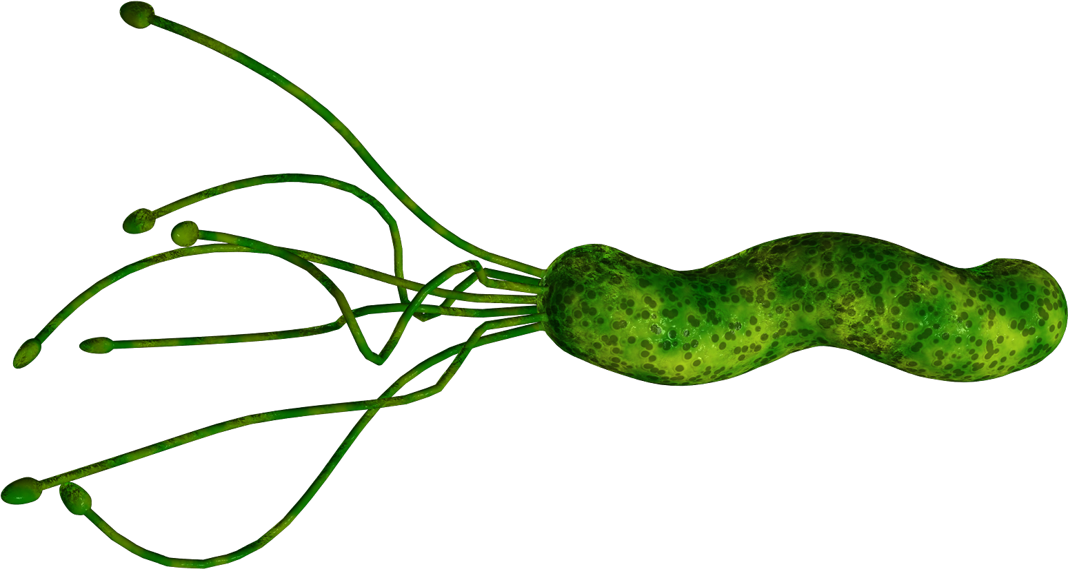 Risk Factors Cont - Risk Factors Cont (1600x1200)