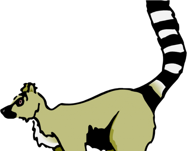 Collection Of Free Country Madagascar Barbed Wire - Collection Of Free Country Madagascar Barbed Wire (640x480)