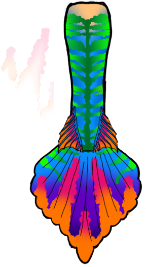 I've Finalized My Mermaid Tail Design And Began 3d - I've Finalized My Mermaid Tail Design And Began 3d (343x600)
