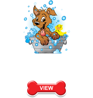 Clip Free Stock Home Ted S Pet Store Lansing Il - Clip Free Stock Home Ted S Pet Store Lansing Il (352x352)