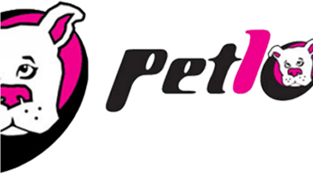 Pet Clipart Pet Day - Pet Clipart Pet Day (640x480)
