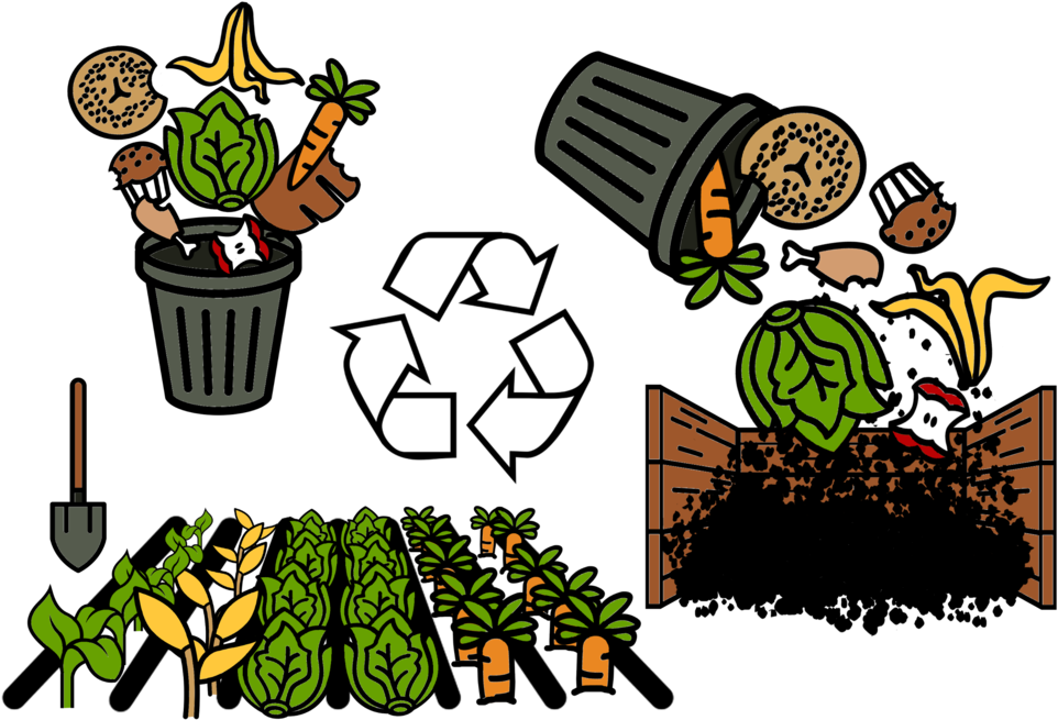 Where Do You Through The Wastes From Your Kitchen That - Where Do You Through The Wastes From Your Kitchen That (1000x679)