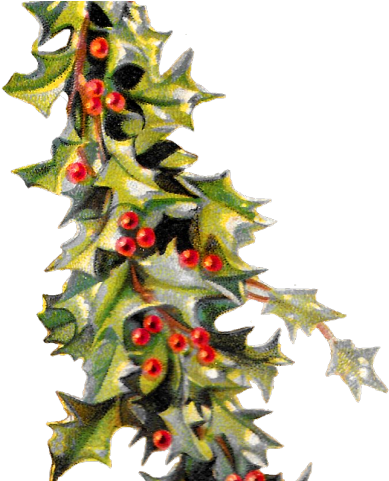 Holydays Clipart Holly - Holydays Clipart Holly (640x480)