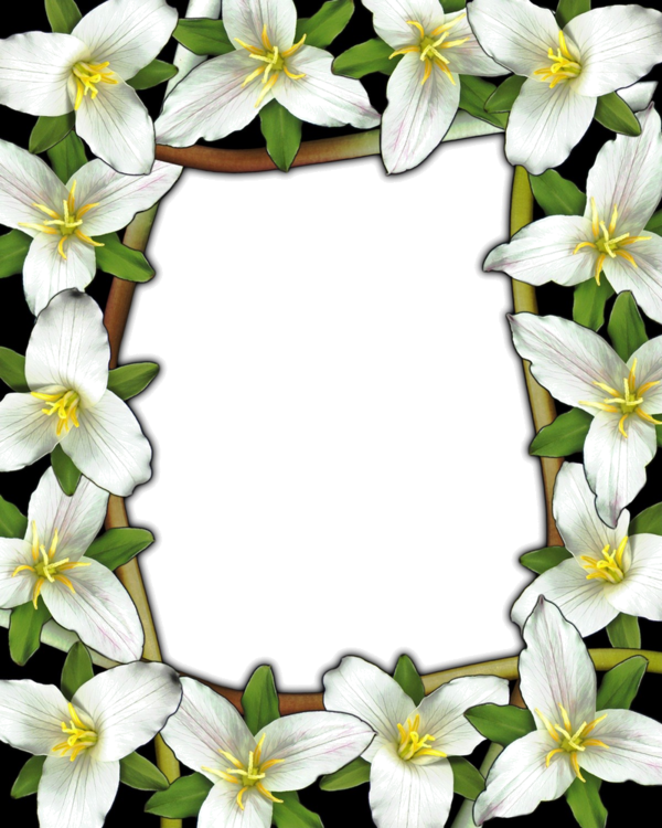 Frame Clipart, Framed Art, Clip Art, Frames, White - Frame Clipart, Framed Art, Clip Art, Frames, White (600x750)