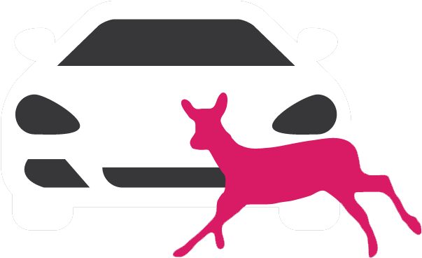 Animal-vehicle Collisions - Animal-vehicle Collisions (754x460)