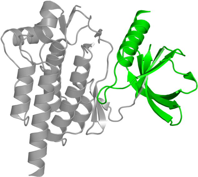 <div Class='caption-body'>1 Copy Of Cath Domain - <div Class='caption-body'>1 Copy Of Cath Domain (800x800)