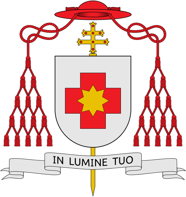 Pope Francis Names Cardinal From Portugal & Massive - Pope Francis Names Cardinal From Portugal & Massive (640x676)