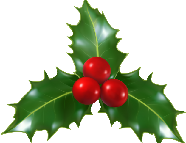 Holley Clipart Holly Branch - Holley Clipart Holly Branch (640x480)