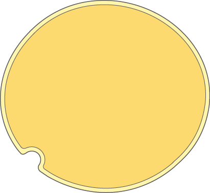 Empty Cell With Vacuols - Empty Cell With Vacuols (411x378)