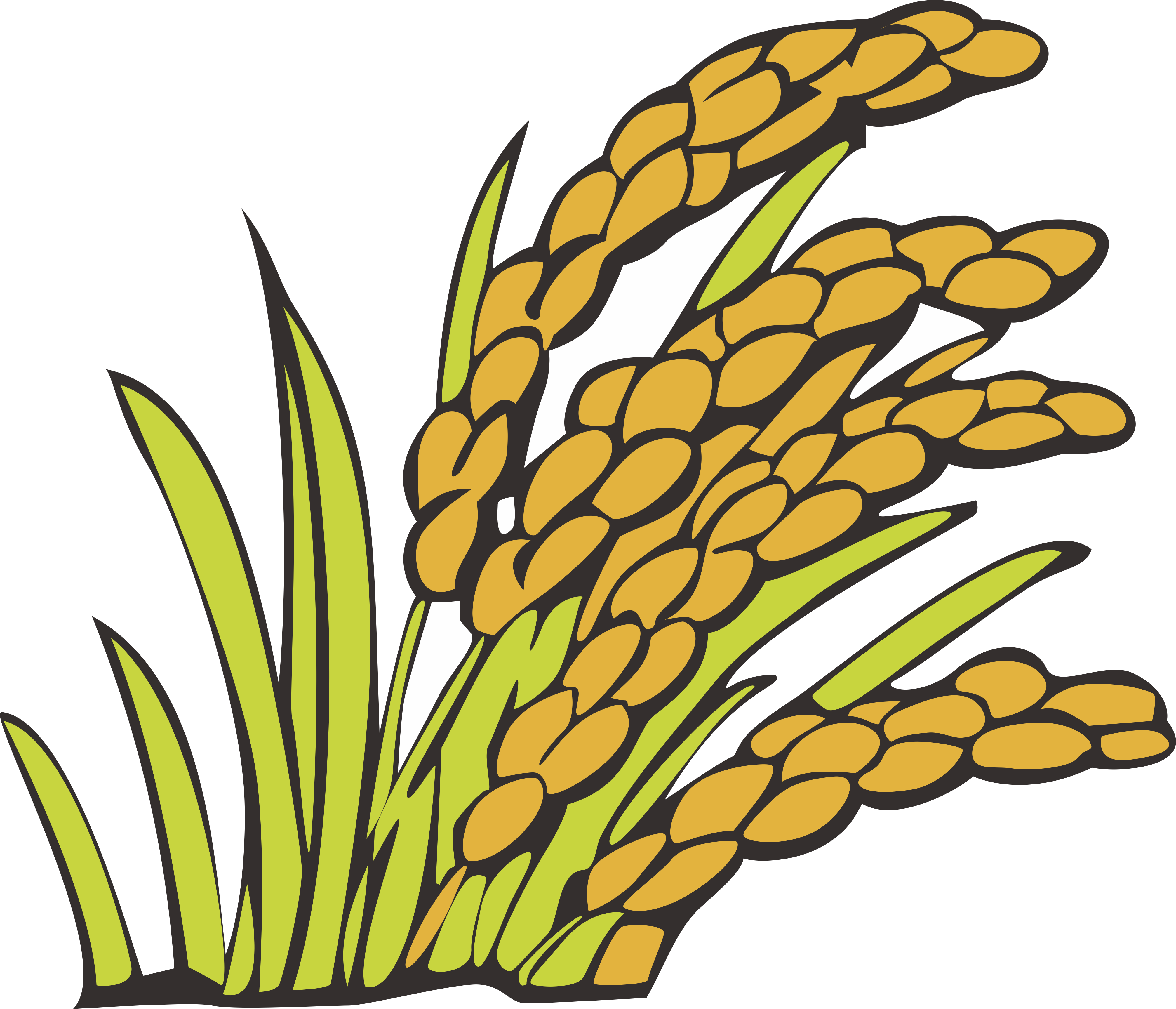 Download and share clipart about Wheat Clipart Bunga Padi - Wheat Clipart B...