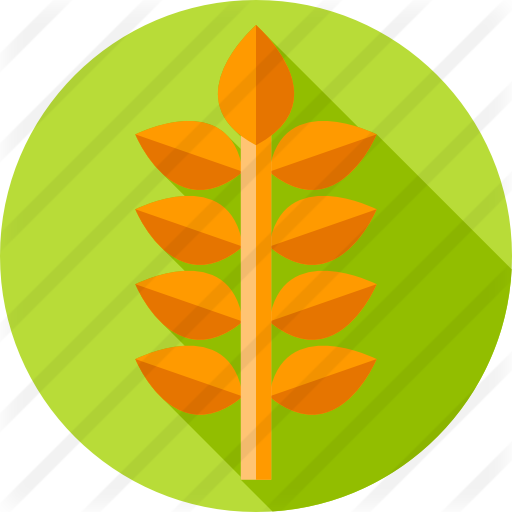 Wheat Free Icon - Wheat Free Icon (512x512)