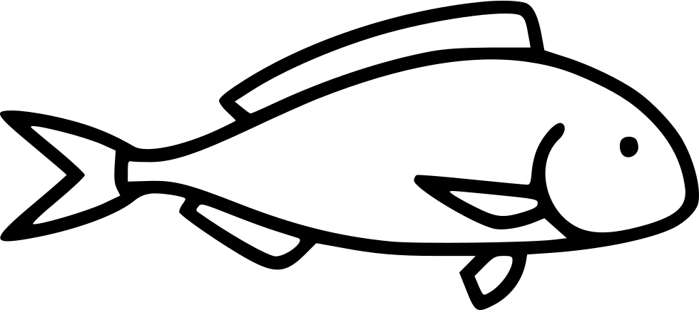 Рыба схематически. Схематичная рыба. Схематичная рыбка. Рыба схематично на белом фоне. Рыба растр.