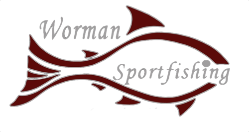 Worman Sportfishing Homepage - Worman Sportfishing Homepage (500x265)
