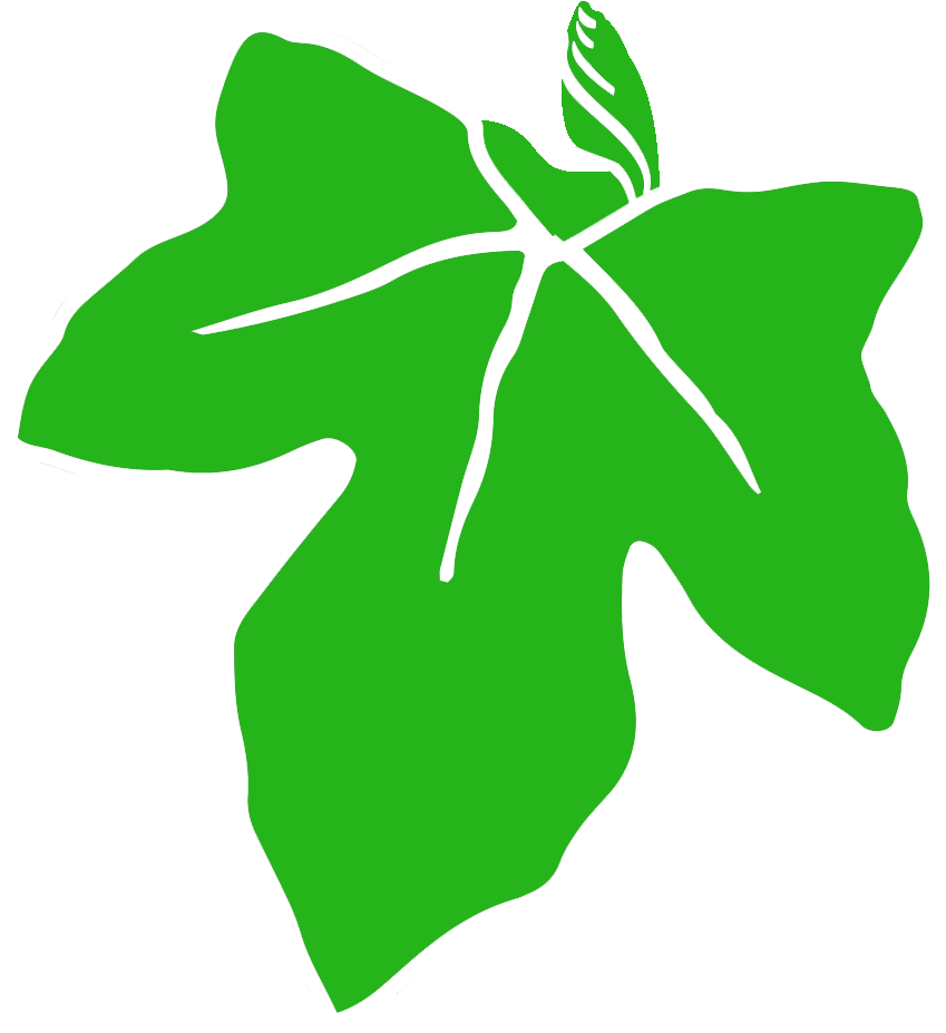 Old Ivy Brewery - Old Ivy Brewery (966x966)