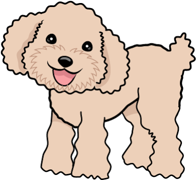 Google 検索 Poodles, Cute Dogs, Standard Poodles, Poodle, - Google 検索 Poodles, Cute Dogs, Standard Poodles, Poodle, (399x368)