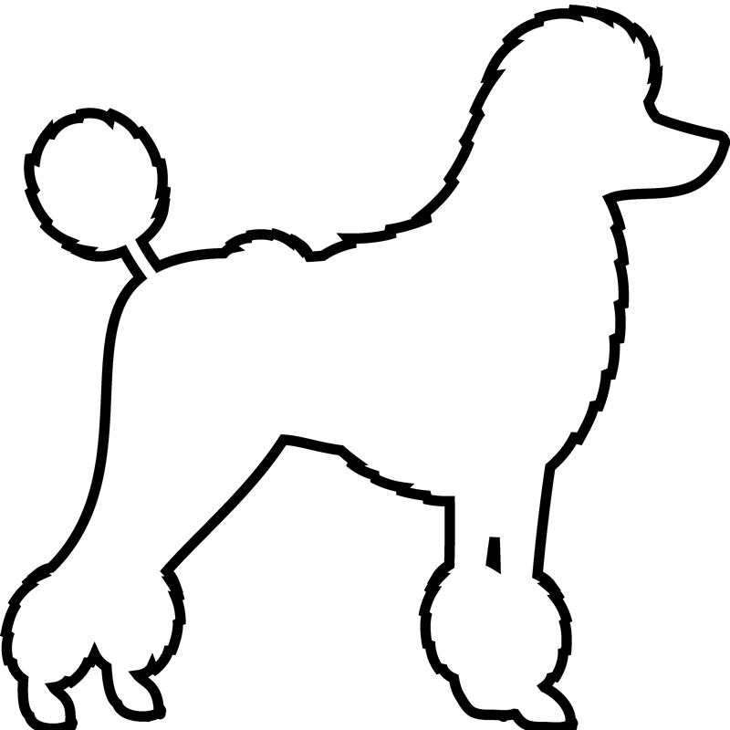 Drawn Poodle Pet - Drawn Poodle Pet (800x800)