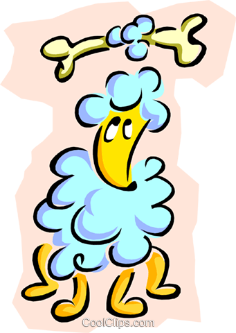 French Poodle With A Bone Royalty Free Vector Clip - French Poodle With A Bone Royalty Free Vector Clip (341x480)