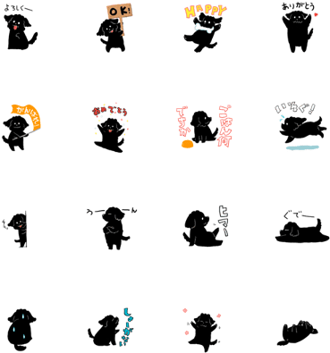 Black Toy Poodle Noa - Black Toy Poodle Noa (420x448)