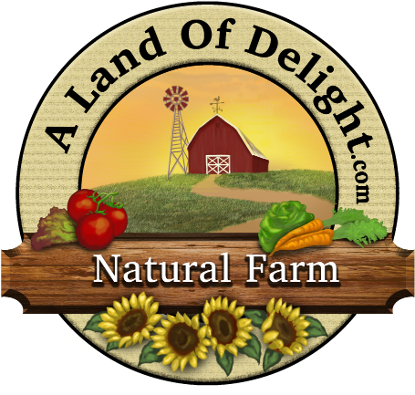 A Land Of Delight - A Land Of Delight (467x467)