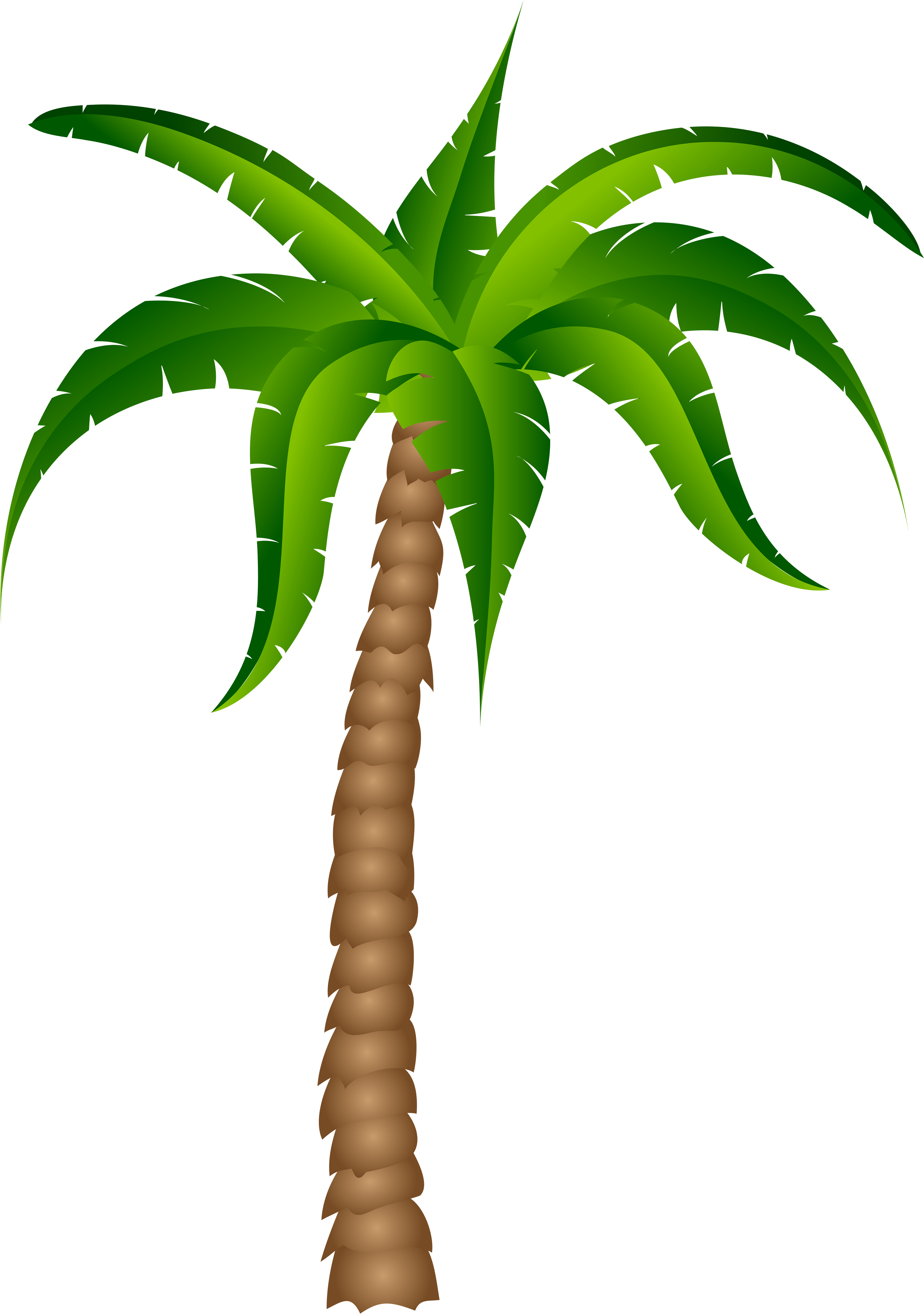 Palm Tree Transparent Pictureu200b Gallery Yopriceville - Palm Tree Transparent Background (3672x4952)