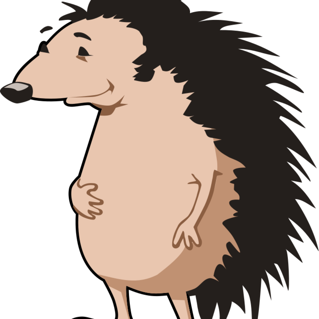 Hedgehog Clipart Hedgehog Clipart Clipart Panda Free - Hedgehog Clipart Hedgehog Clipart Clipart Panda Free (1024x1024)