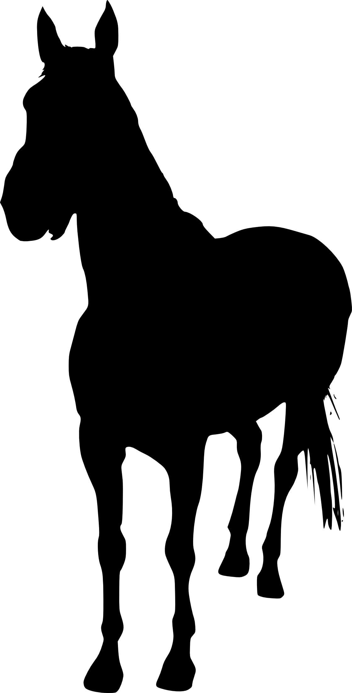 5 Horse Silhouette - Silhouette Unicorn (1119x2204)