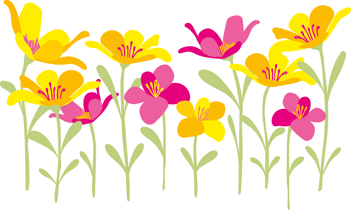 In Die Hauptgasse In Appenzell, Flanieren Sie Durch - Portable Network Graphics (1160x693)