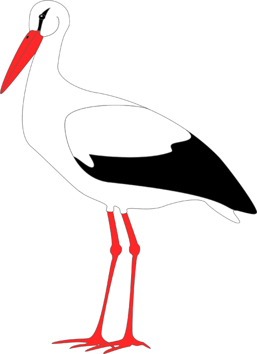 Der Wirklich Imposant Aussehende Storch Lässt Sich - Storch Zum Ausschneiden (500x688)