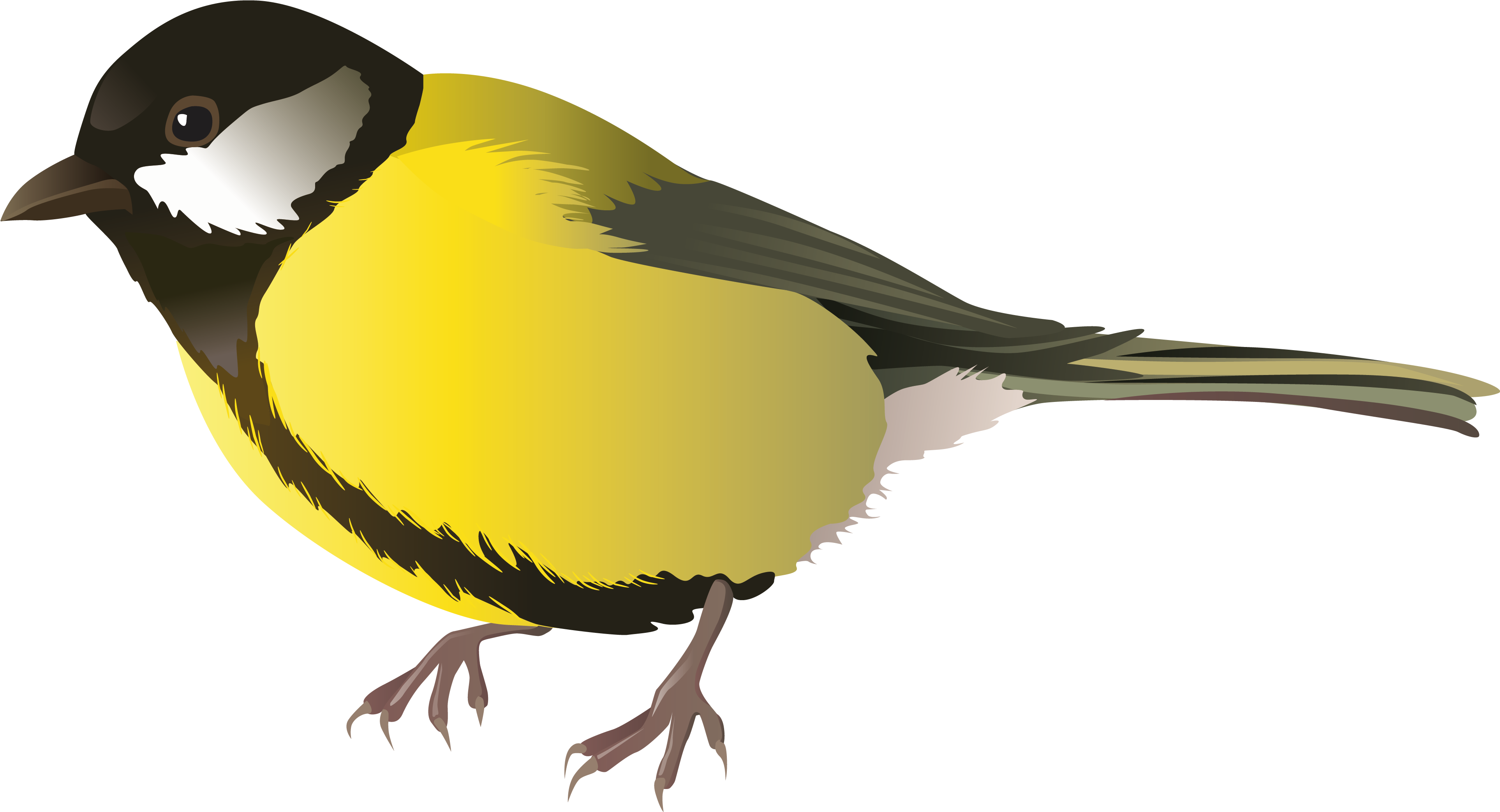 Yellow Bird Png Clipart In Category Birds Png / Clipart - Png Birds (3970x2178)