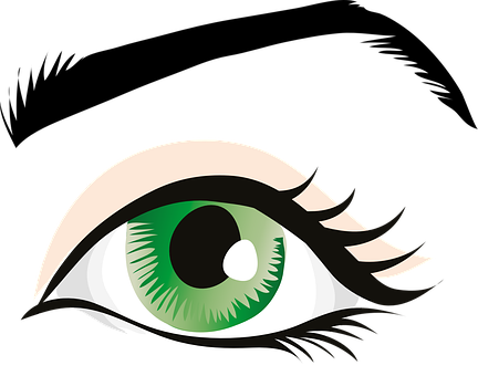 Auge, Grünen Augen, Augenlid, Iris - Human Eye Clip Art (432x340)