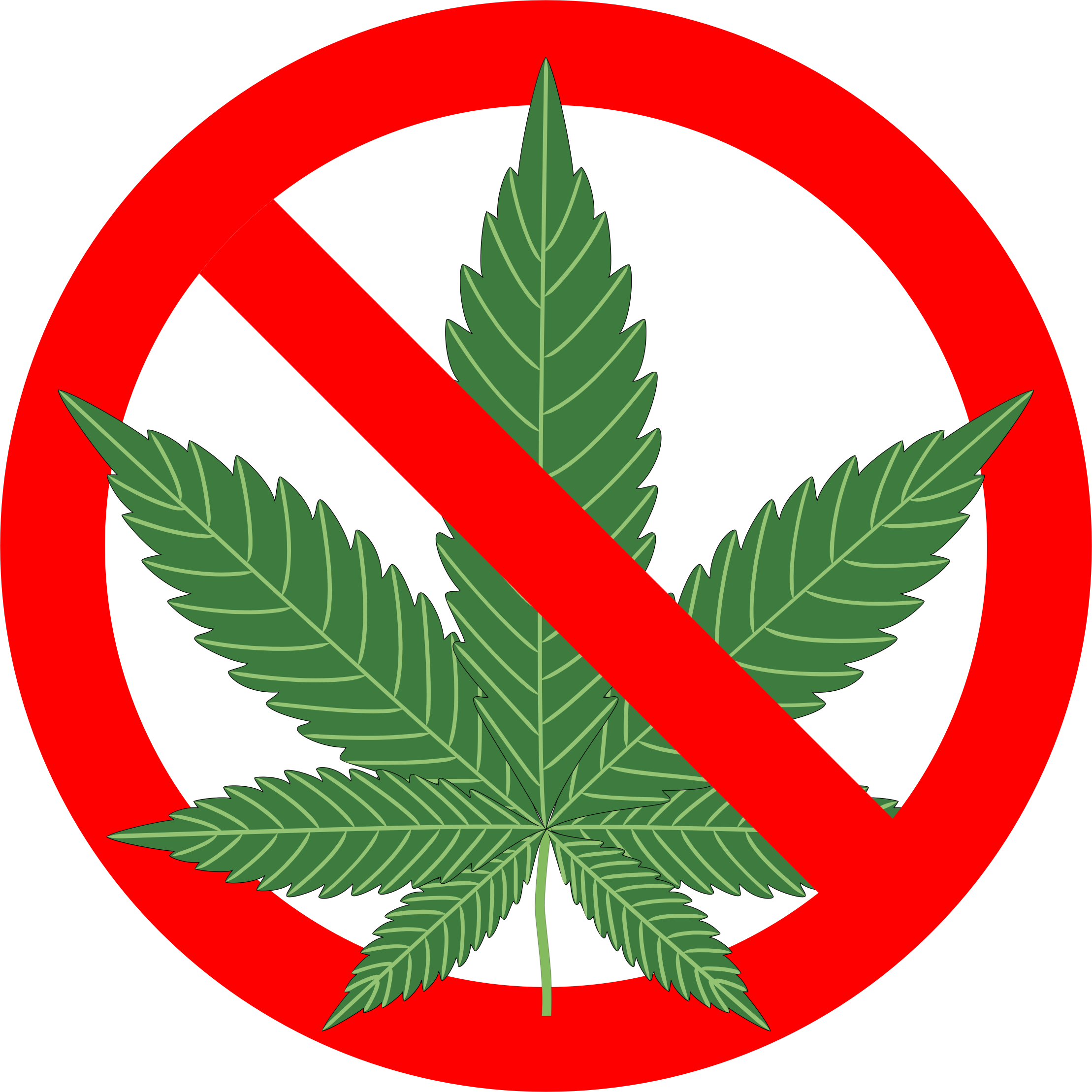 Reasons Not To Smoke Marijuana: The Complete ] (2218x2218)