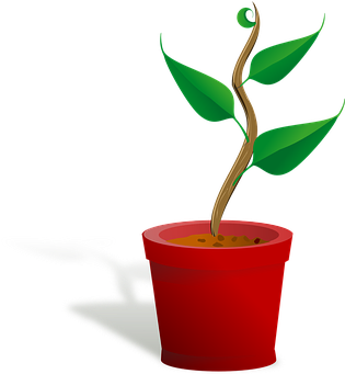Flowerpot Growing Leaf Plant Plant Plant P - Growing Plant Clip Art (500x483)