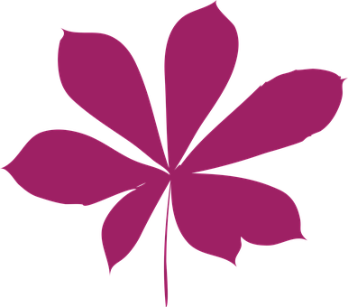 Blatt Herbstblatt Trockenes Blatt Kastanie - Folha Secas De Outono (386x340)