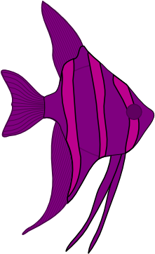 Purple Angelfish Clip Art - Clip Art (600x361)