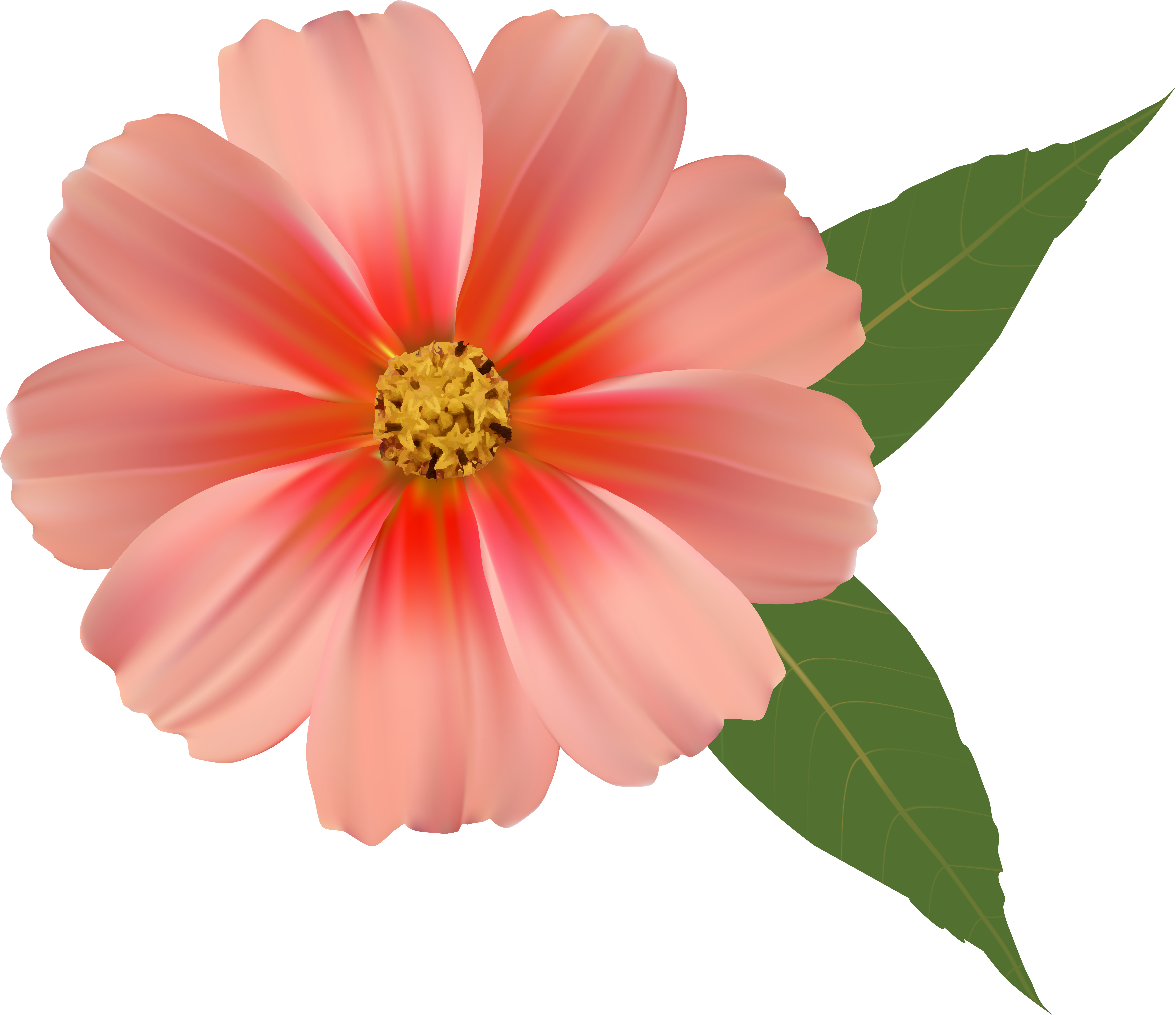 Orange Flower Png Image Clipart - Flowers Png (5828x5120)