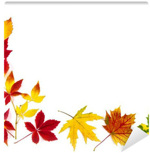 Bunter Rahmen Aus Herbstblättern Wall Mural • Pixers® - Autumn Leaves Frame (512x513)