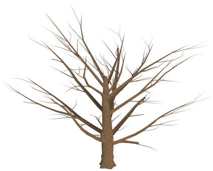 Baum, Freigestellt, Abgestorben - Wilting Tree Transparent Backround (423x340)