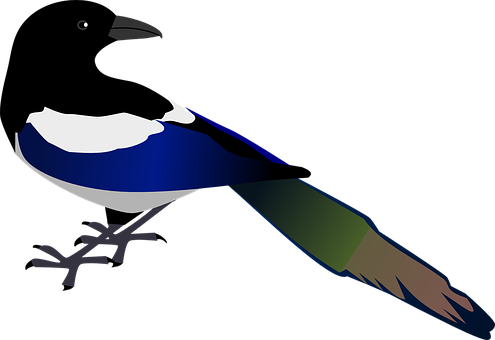 Elster, Vogel, Tierwelt, Vogelgrippe - Custom Colorful Bird Shower Curtain (495x340)