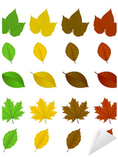 Différentes Feuilles D'arbres, De Différentes Teintes - Painting (400x400)