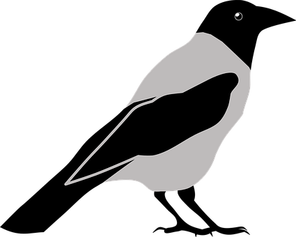 Tier, Vogel, Krähe, Elster - Custom Black And Grey Bird Shower Curtain (425x340)