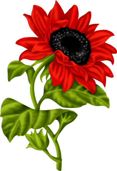 Lil Ladybug Yandex - Vintage Sunflower Drawing (402x584)