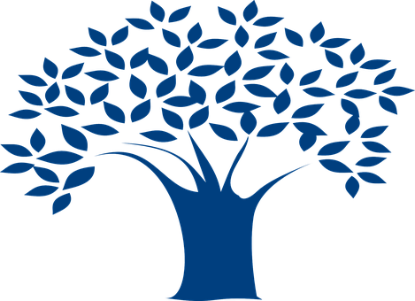Baum Niederlassungen Blätter Blau Natur De - Blue Tree Clip Art (469x340)
