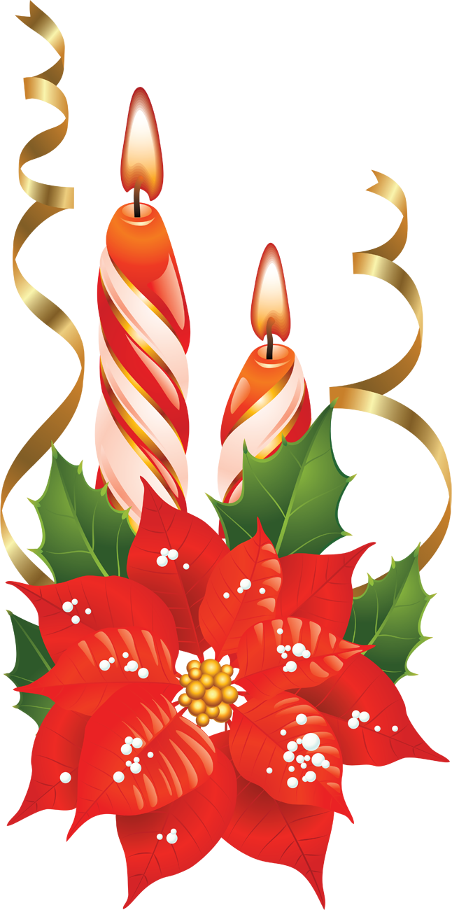 Ranging From Http - Christmas Poinsettia Clipart (646x1300)