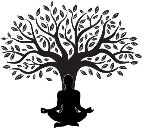 Z-gel - Tree Silhouette Png (474x450)