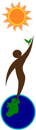 Download Image - Sunflower (430x546)