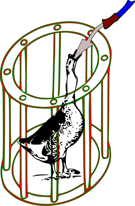 Battery Force-fed Goose - Clip Art (523x800)