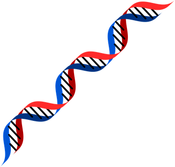 Dna Rot Blau Genetik Menschliche Menschlic - Dna Red And Blue (357x340)