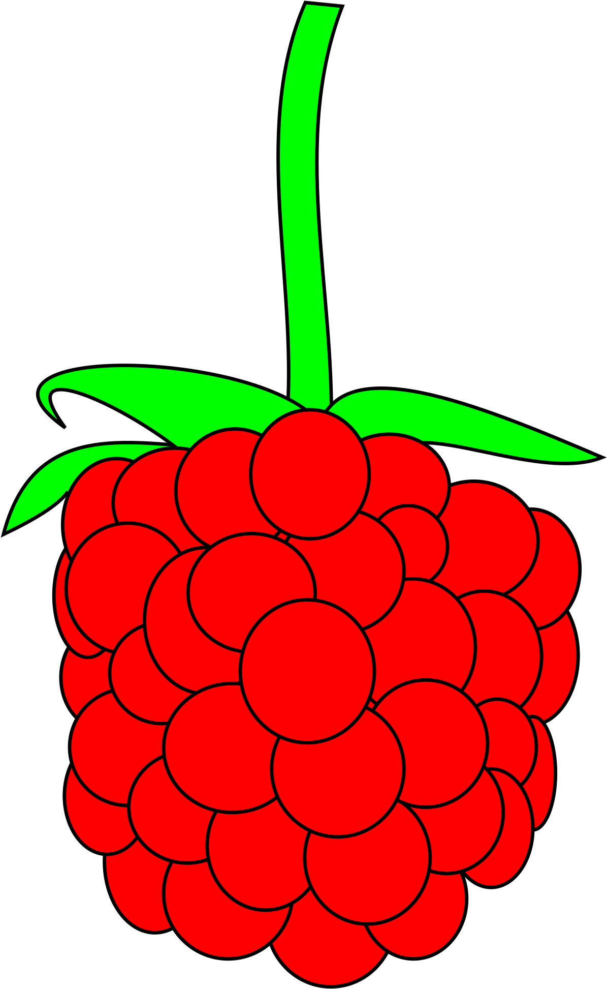 Raspberry Clipart - Custom Red Raspberry Shower Curtain (2935x2400)