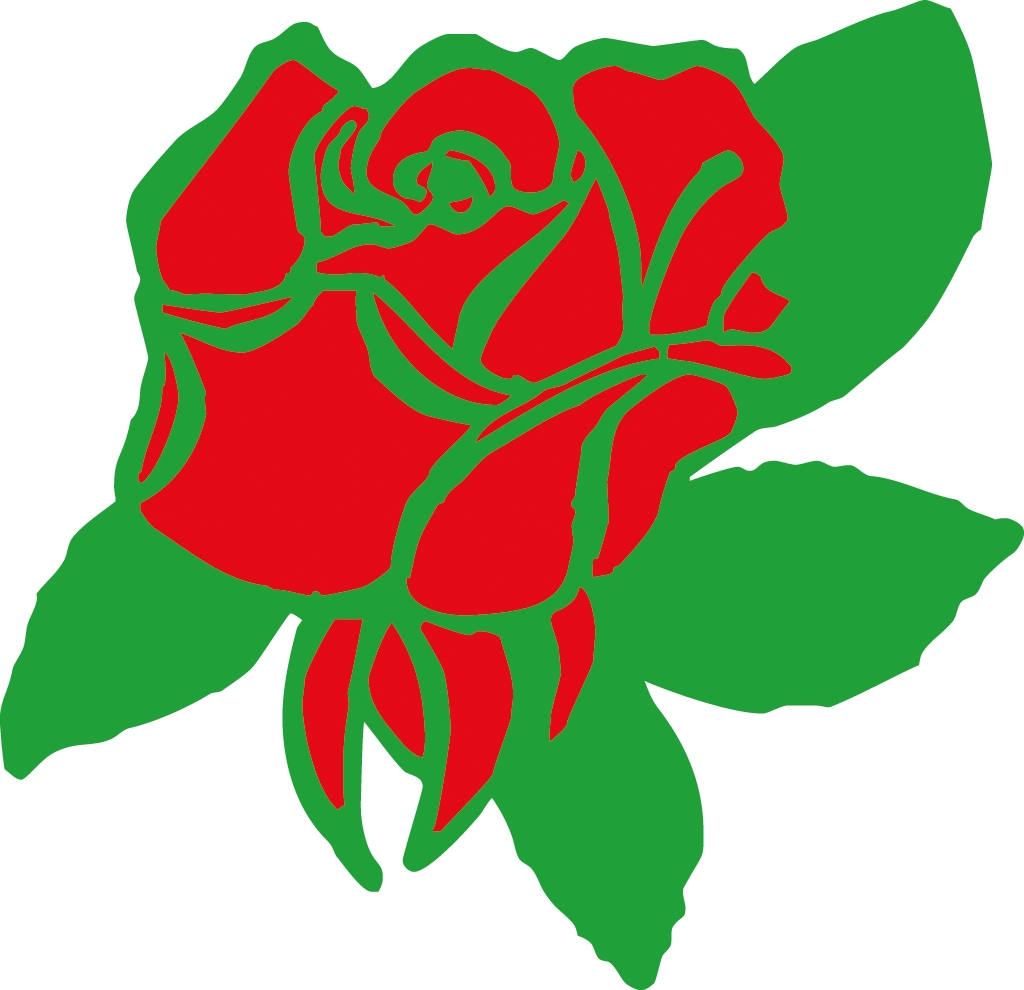 Rose - Garden Roses (1024x990)